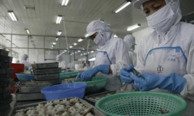 Cephalopod exports to the U.S. – a good prospect 