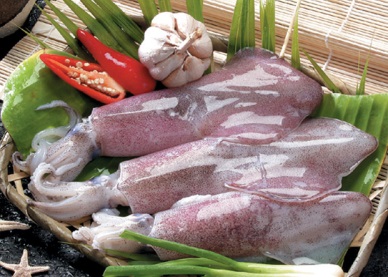 Declining in cephalopod exports to South Korea 