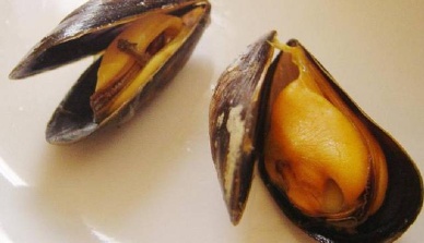 GAA shifts focus to mussels