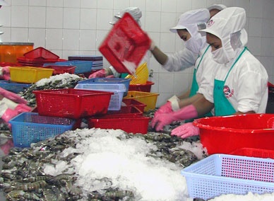 US remains Vietnam’s top seafood export market