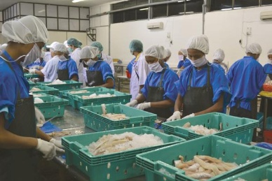 Russia to buy Myanmar’s fishery products