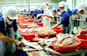 Khanh Hoa: 43,200 MT of seafood harvested 