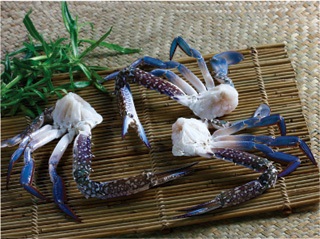 NGC: After-tax profit increased by 47.7% in QI/2016