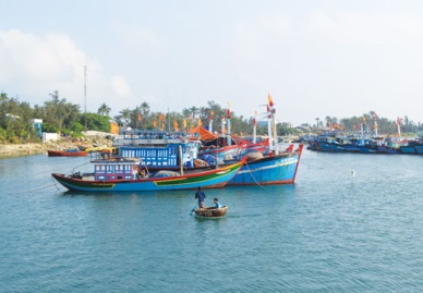 Ba Ria - Vung Tau towards the sustainable capture fisheries