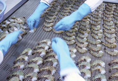 Vietnam: Fish processors face raw material shortfall