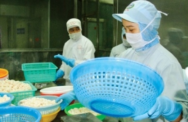 More 23 Vietnam seafood companies allowed to export to the EU