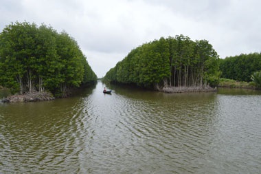 Ca Mau to raise certified organic shrimp farming area to 20,000 ha by 2020