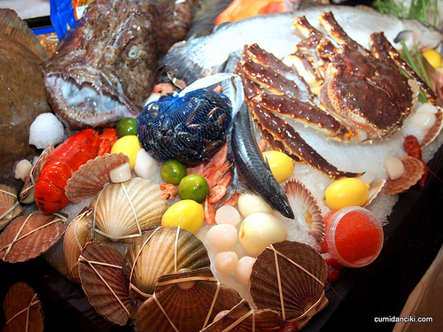 Seafood Exports Declined in First Half Compared with Previous Year