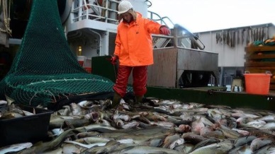 Norway seafood exports boom on $435m salmon sales hike
