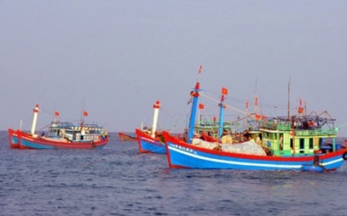 Vietnam striving to combat IUU fishing: Spanish official