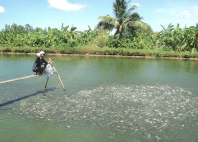 Forum discusses developing agricultural products’ labels, brands