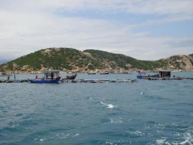 Exporting live lobster and grouper in the official way