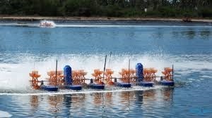 Hai Phong: Fisheries production estimated at 11.796 MT in Feb 2017