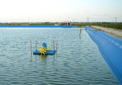 Seafood breeders accessing loans at high interest rates