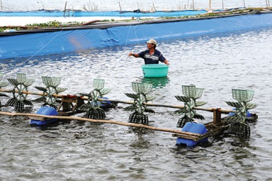 Vietnam aquaculture production up 7.4% in Sep 2016