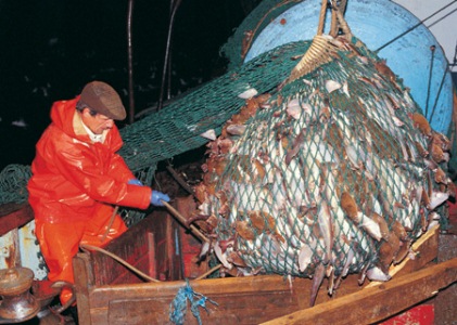 Import ban from countries allowing overfishing supported