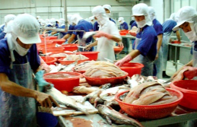 Vietnam seafood eyes Pakistan market
