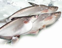 Vietnam pangasius export hit US$1.8 billion in 2011

