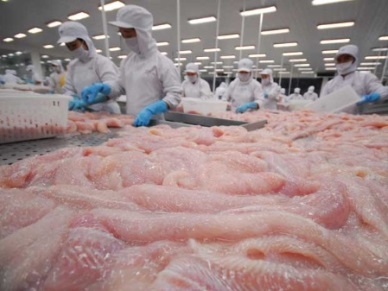 Stable Pangasius exports to ASEAN countries 