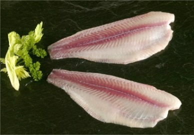 Recovering pangasius exports to the EU