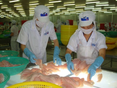 The U.S. passed the EU to be the leading importer of Vietnamese pangasius