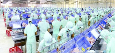 SUPA Study-Chapter I: Sustainable Pangasius market potential in Europe