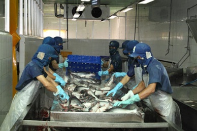Measures for sustainable development of Vietnam pangasius industry
