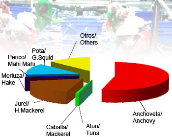 Sharp decline in fish landings in first four months