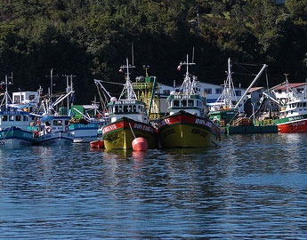 Slight drop in the value of fish exports in 2013