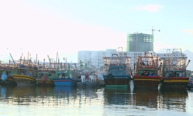 Fisheries Law (amended): Vietnam