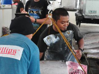 Philippine Setting Rules For Fishing Tuna In High Sea Pocket 
