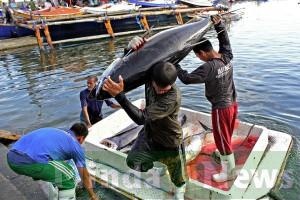 Philippines tuna industry calls for change 