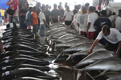 Philippines Aiming For Zero Duty On Tuna Export To EU By 2014