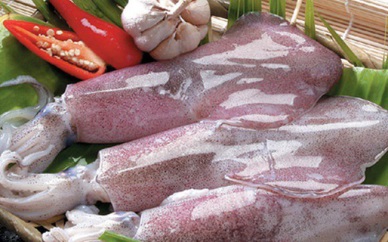 Cephalopod exports of Vietnam remained stable 