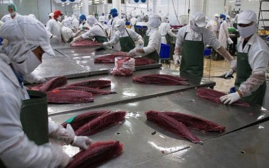 Tuna exports witnessed positive change