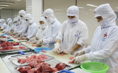 Middle East increased tuna imports from Vietnam