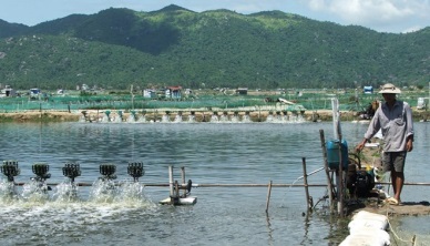 Solutions sought for sustainable fishery in Phu Yen