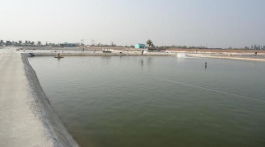 Binh Thuan: Diversify the farmed aquatic species 