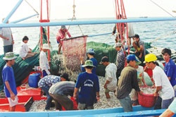 Offshore fishing goes online in Phu Yen
