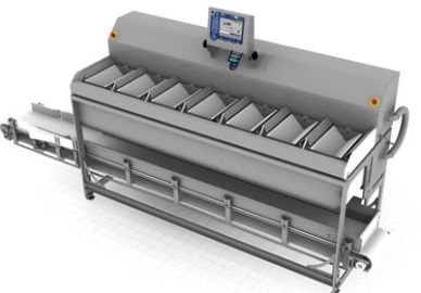 Marel minimizes giveaway and improves yield in the pangasius industry