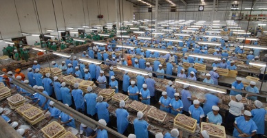 Biggest Canned Tuna Plant Of PNG Opened