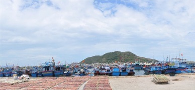 Upgrading fishing ports and markets in the South Central of Vietnam