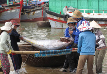 MARD recommended policies on reducing post-harvest losses