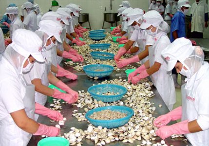 Fishery industry: Priority to stabilize production and export