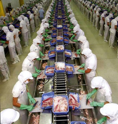 Pangasius exports to Saudi Arabia increased significantly