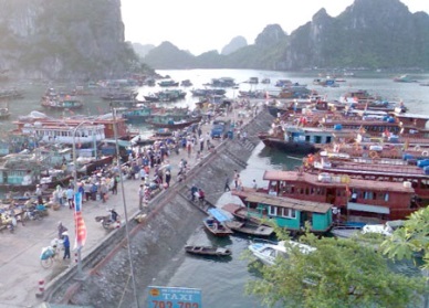 Quang Ninh: 12,435 MT of fishery production in February