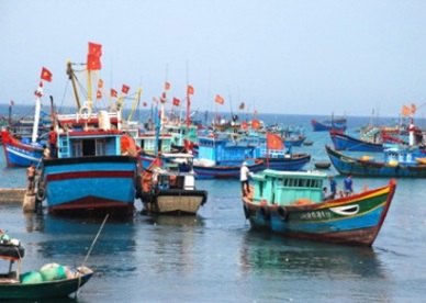 Quang Ngai:  VND 6,000 billion invested in fisheries 