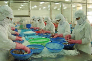 Quang Ngai: Seafood revenue up 8.5% in 2015