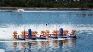 Ca Mau: Fishery output rose 19% in Oct 2016