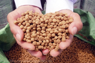 DECREE 39/2017/ND-CP: PROVIDING THE REGULATORY FRAMEWORK FOR ANIMAL FEEDS AND AQUA FEEDS